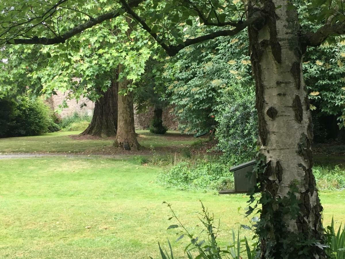 Hotel Au Rez De Jardin Cholet Exteriér fotografie