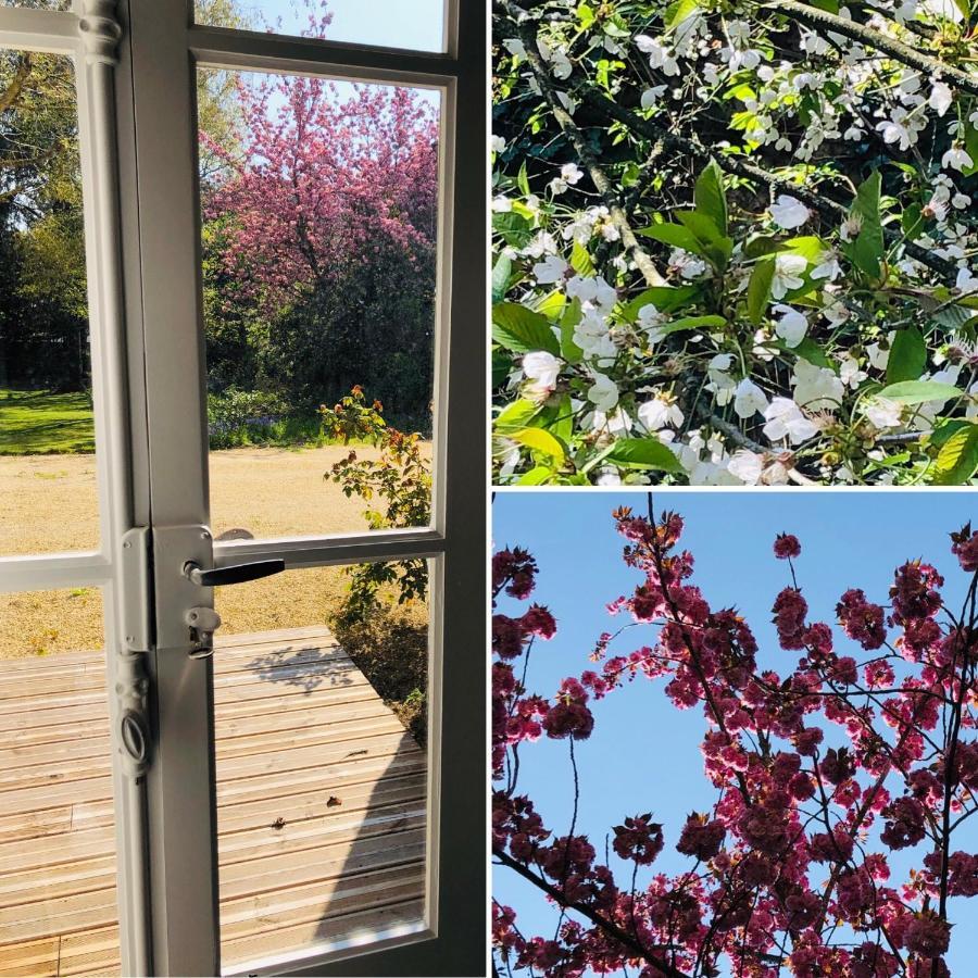 Hotel Au Rez De Jardin Cholet Exteriér fotografie