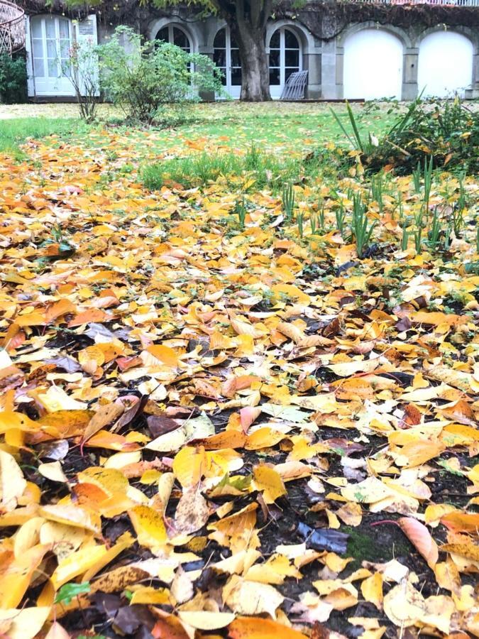 Hotel Au Rez De Jardin Cholet Exteriér fotografie